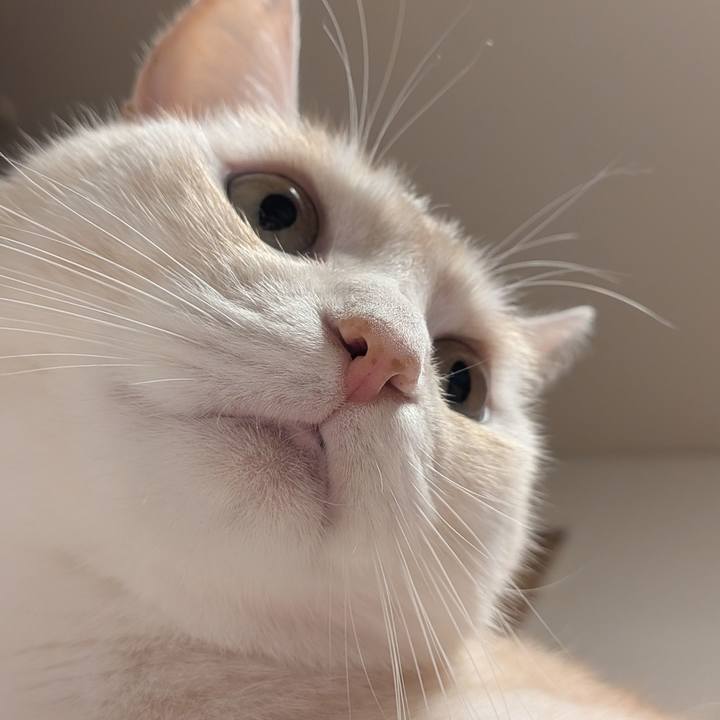 7a2f22ee 25af 4047 a6ab fad551edfd8a 1755001424138