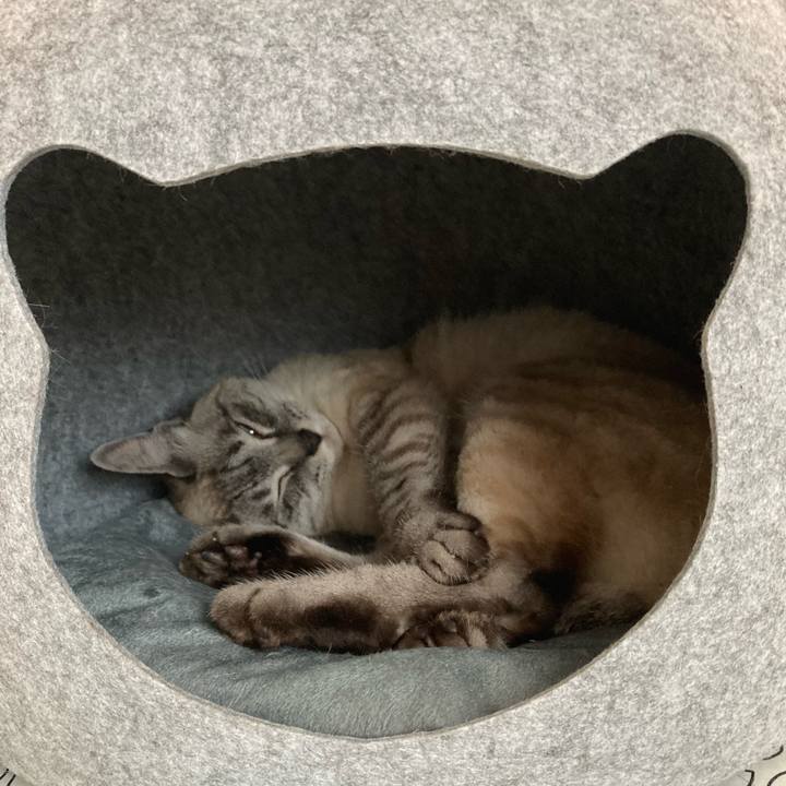 7a2f3e74 3505 47a8 b7c2 14971d06b202 1650768388329