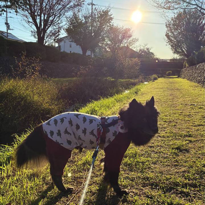 7a2f432e ff41 4f8a 894e a22b1dad3172 1762215193754