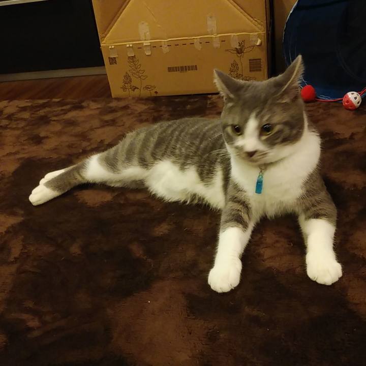 7a2f5180 dd7f 4dc3 93dc 7a9a2036aeae 1579959304517