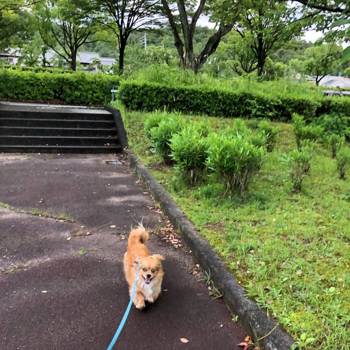 7a2f5aae cb85 44ec 8cef a9ec1e124626 1560637595234