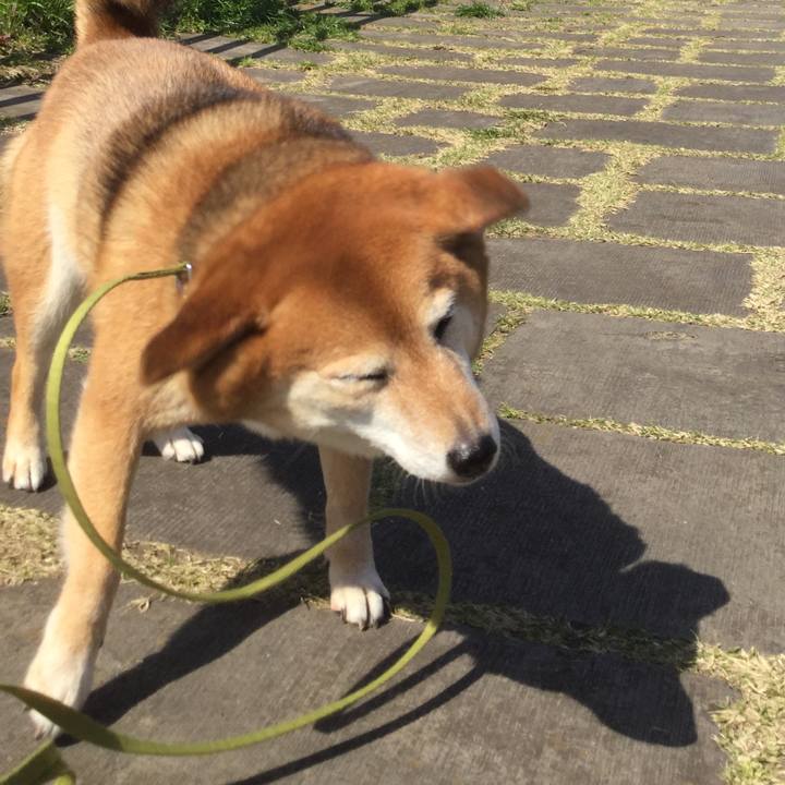 7a2fc825 c997 487d a363 766a9fe50573 1584763996270