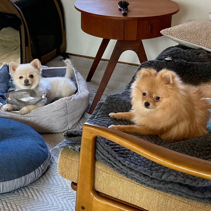 7a306b70 d169 4c7f b279 71cd3ab1ef2d 1648526165442