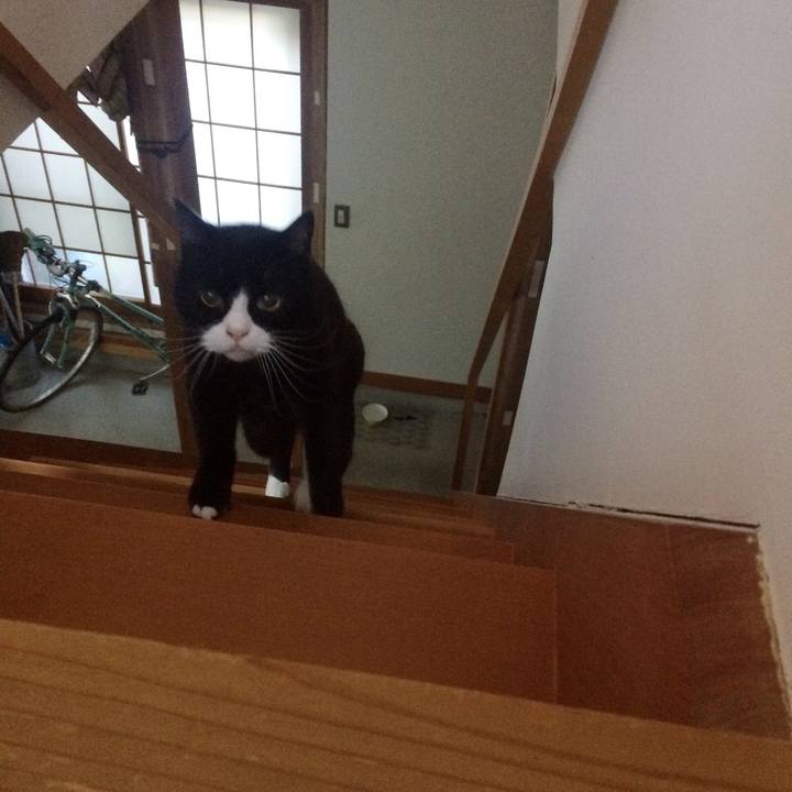 7a309cc9 0fe9 47d8 9259 996a003490d0 1554243079951