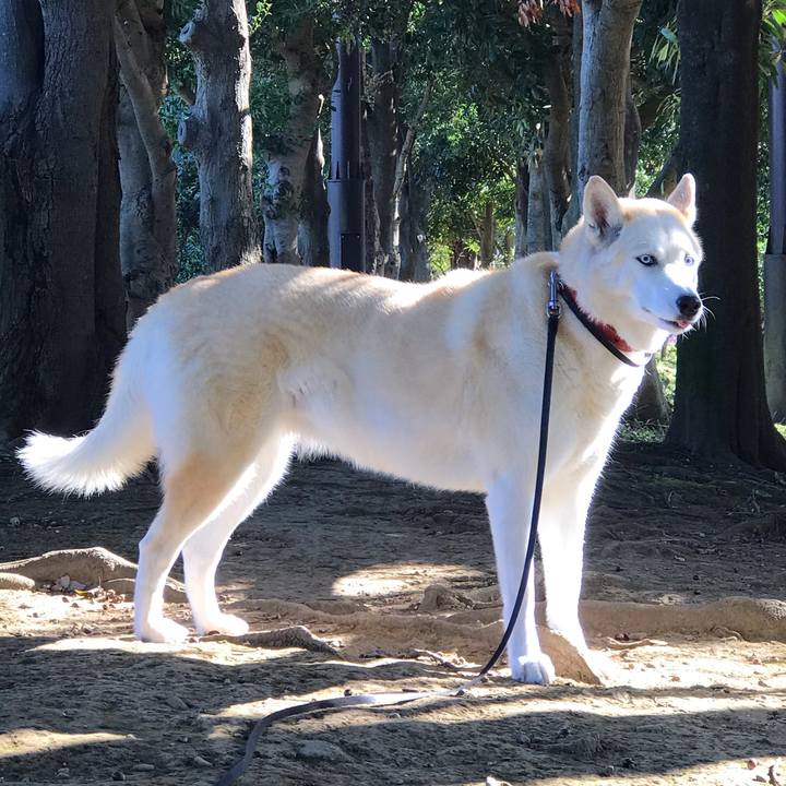 7a30a26b 8ff8 4042 977d 4c60c8cb45a9 1636075239827