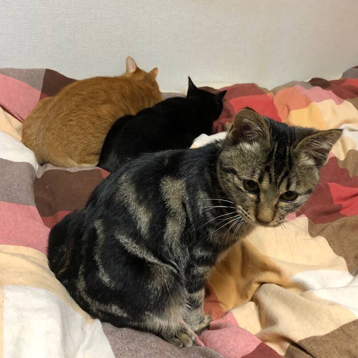 7a30d9e8 61ab 4b64 b947 0be5f1ff9aec 1733308069202