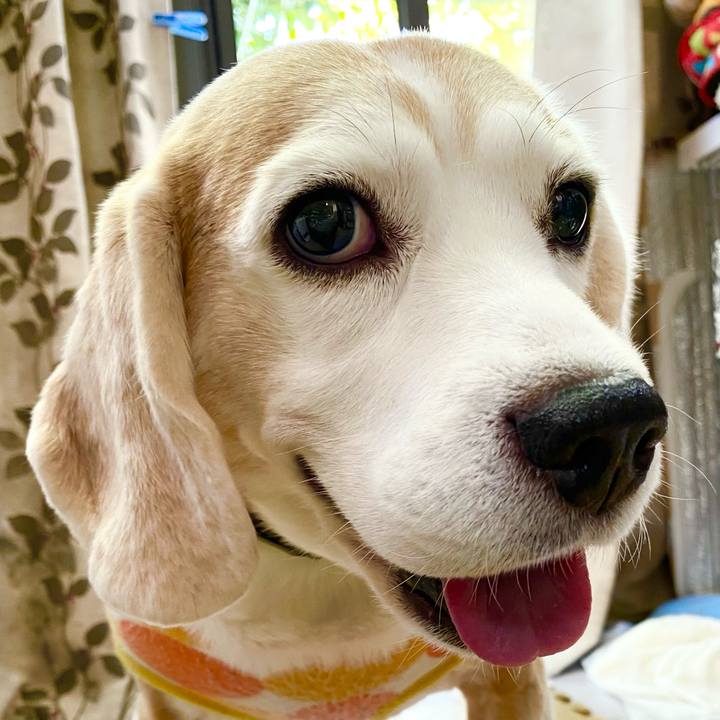 7a30f058 3c02 413c 89f3 7386b0960e30 1635738822045