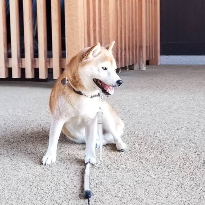 7a310837 7c79 4648 9058 84fb6e3d71b5 1664066460547