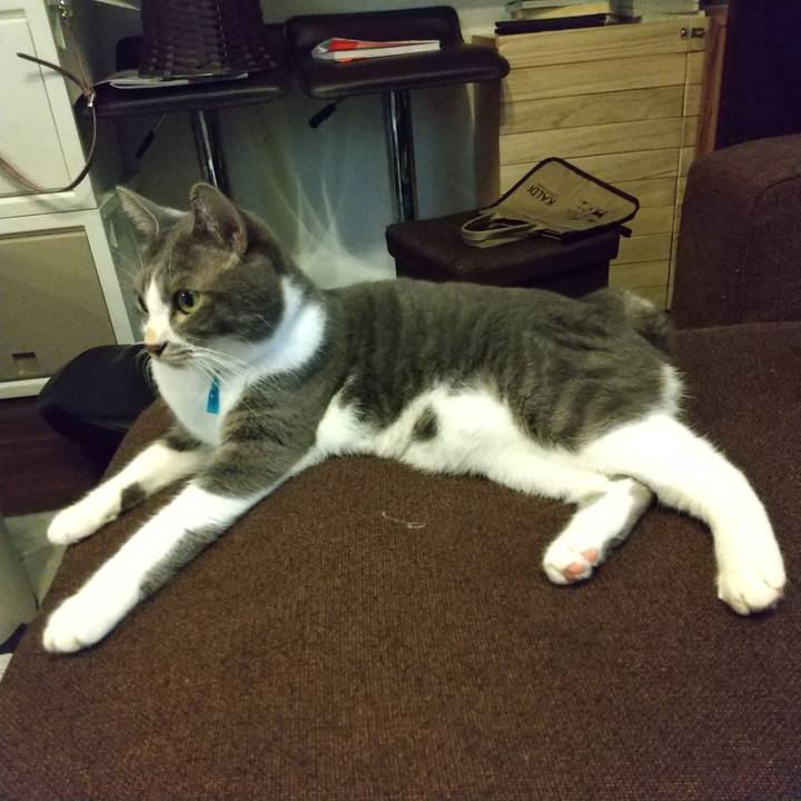 7a312e4f 0a89 49b6 954e b7765748cf42 1631830020006