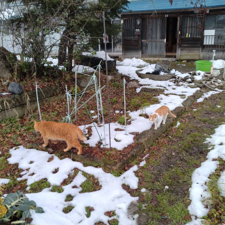 7a312f54 e607 46c4 b090 b9417e4bee38 1734404064533