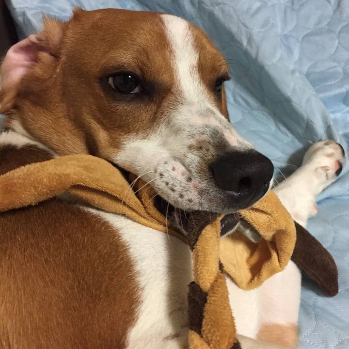 7a3144b4 bd41 41a3 80a0 e41c1f812b04 1527727898583