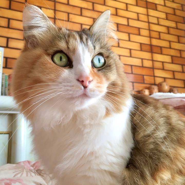 7a31693a e6a4 40b7 b277 f182ebde01eb 1582362099172