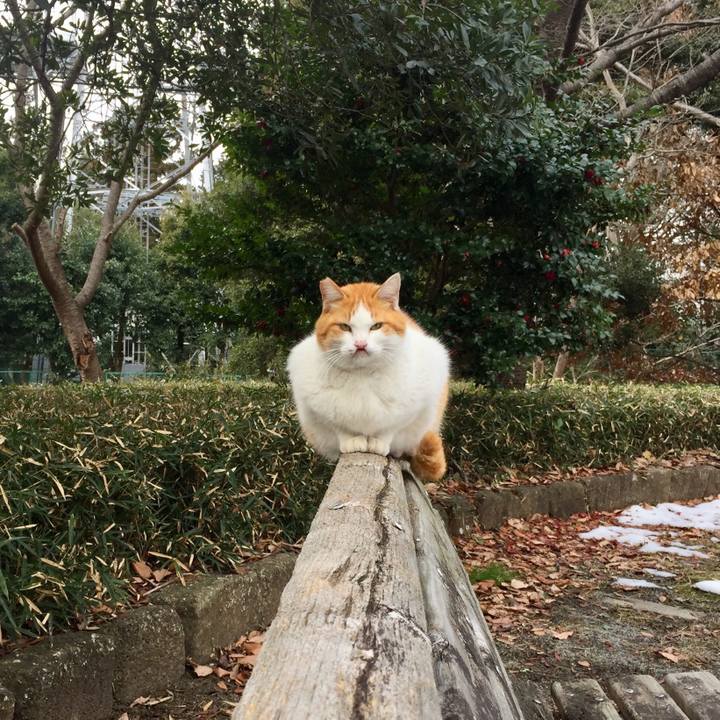 7a31845a 1dc6 459b a81c 67c1c78bf9cd 1517474641673