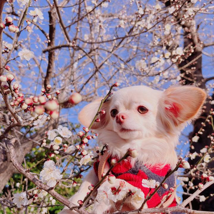 7a3186a5 6bcb 4451 88a0 301e1adaadc9 1677064882406