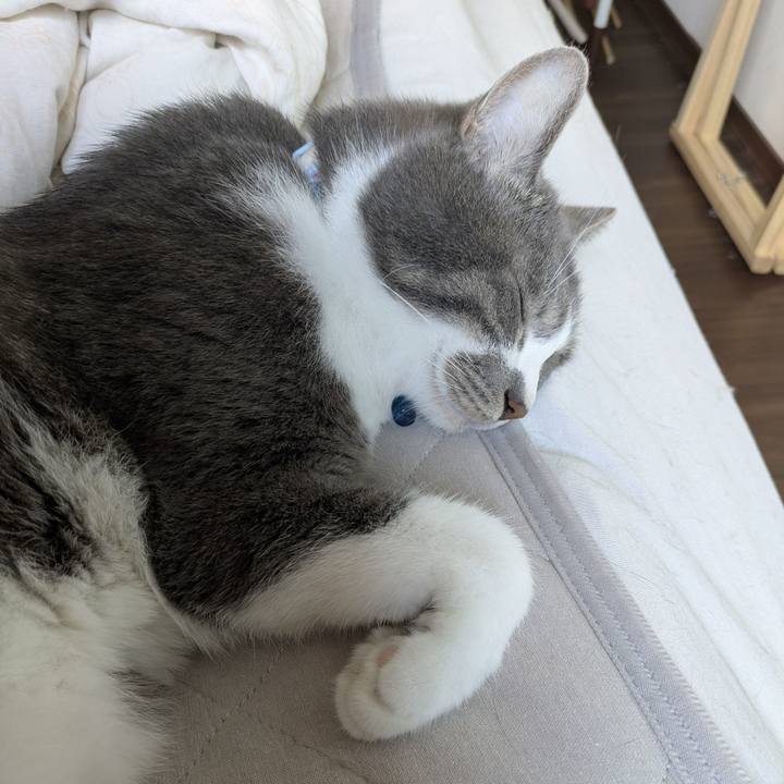 7a31bc13 02ee 4856 be8a c3eb4a5dd35c 1753401439946