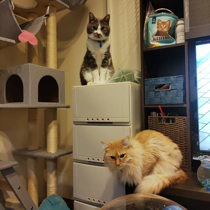 7a31e628 184e 4de3 a993 9b6059a37de1 1676896607768