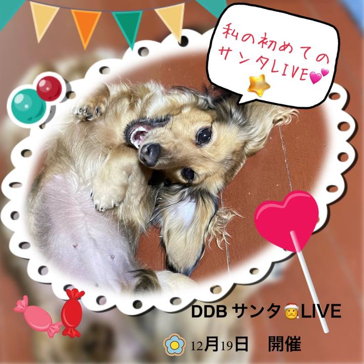 7a320260 f98b 43d9 8255 5858eb89c452 1639261586354