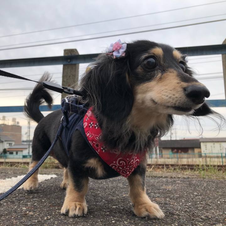 7a32149a be75 47ea b97c 2144be0f8ff0 1613089395655