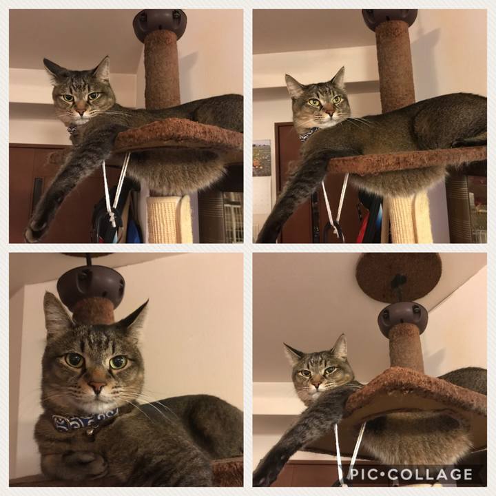 7a32224b 0f29 401b 9d18 7b76f0404e53 1526663688806