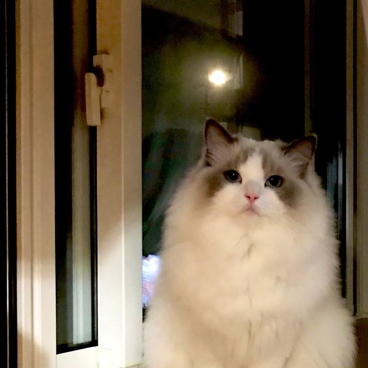 7a3232f6 a5c5 4899 a35e a2261ceb0563 1632132909079