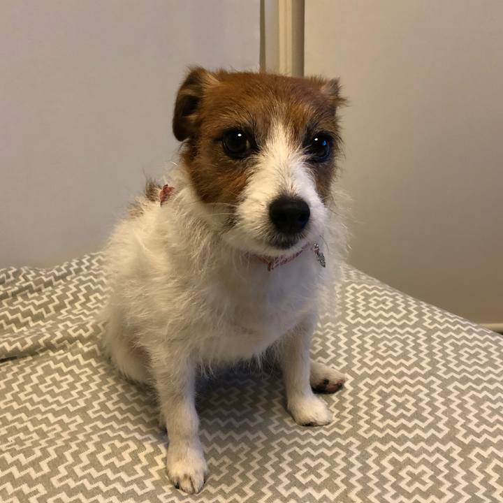 7a324f17 cd49 4e6d 9ebb 81a60d918e6a 1612786306282