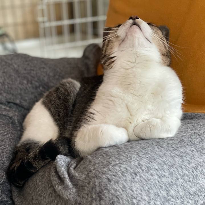 7a326256 0cad 4f87 8a6a b43c64b2bf56 1620525766171