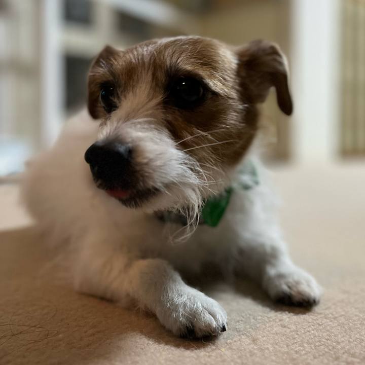 7a329bfa 348b 47c3 9f36 b444f8511e19 1707033930812