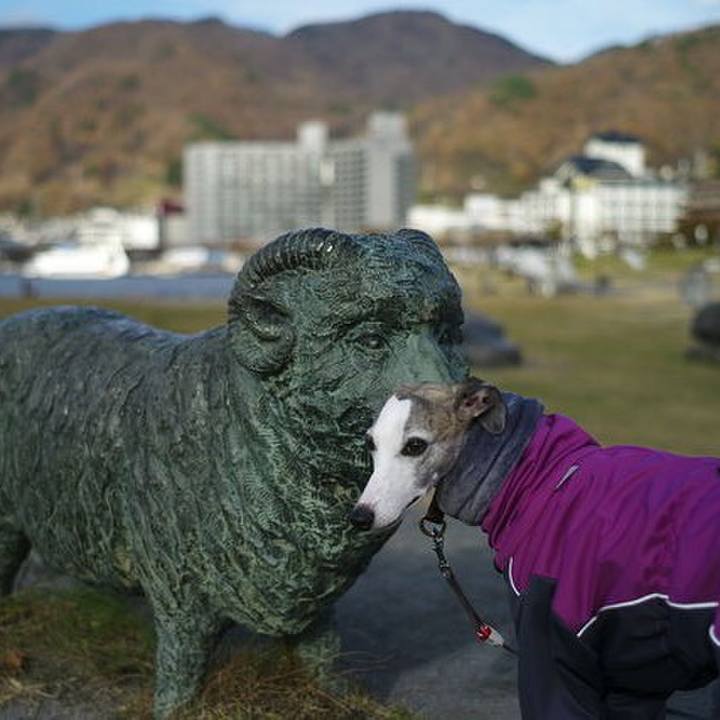 7a32b90c 6978 4469 87aa 825d9ed65f9e 1513867804188