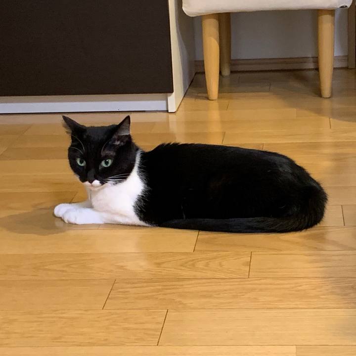 7a32bc62 b02f 4b6d a653 a1ed4fa7593c 1554083213137