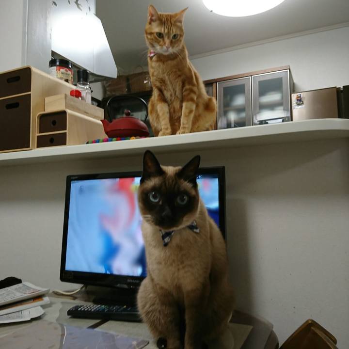 7a32c567 520a 4bee b280 3baebc29def5 1512863693578