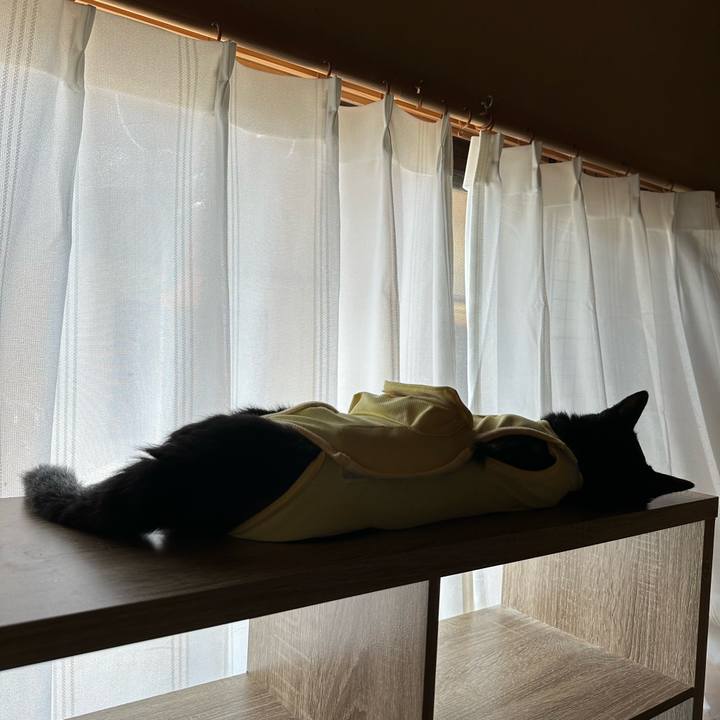 7a32e49c e00b 40c5 814a 7ff16fa39d09 1720231072972