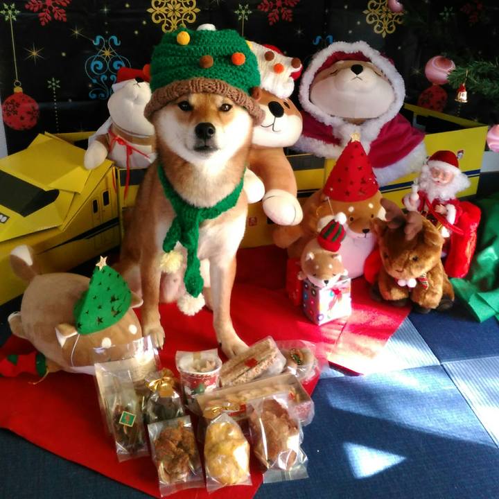 7a32fb8f f3f2 4124 afe5 42d592d1cdc5 1513486826237