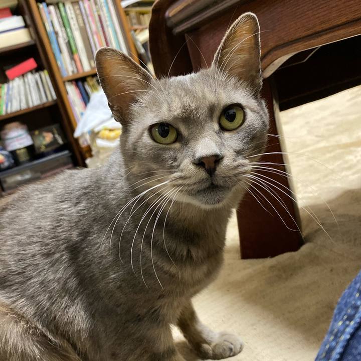 7a331752 d6b8 49a4 9b55 70a37354c13b 1573908747817