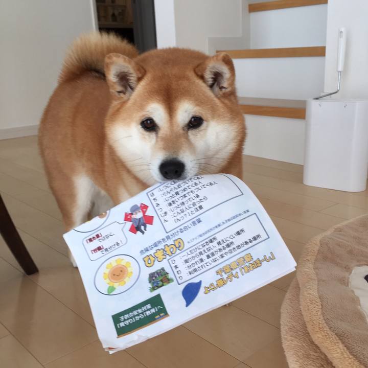 7a331f85 fc08 464d a700 d7876b563c23 1552474137920