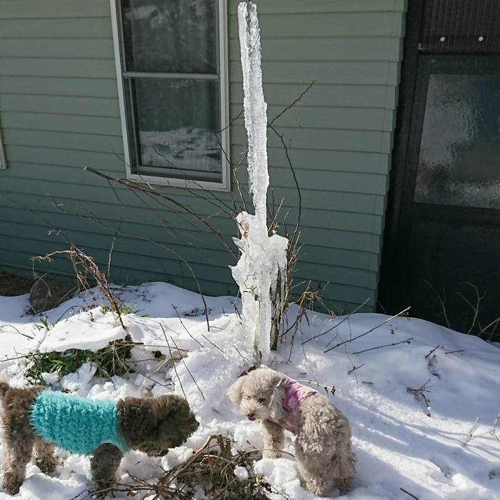 7a3339aa 3c74 4d4a a838 f271373daab0 1517030525864