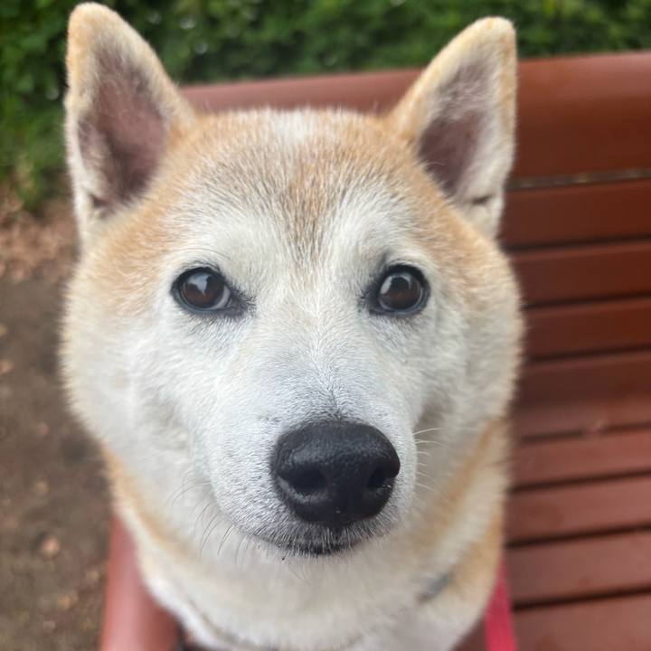 7a3369b6 f0a2 47ea 9d9f bfe5175d1e9c 1748123342205