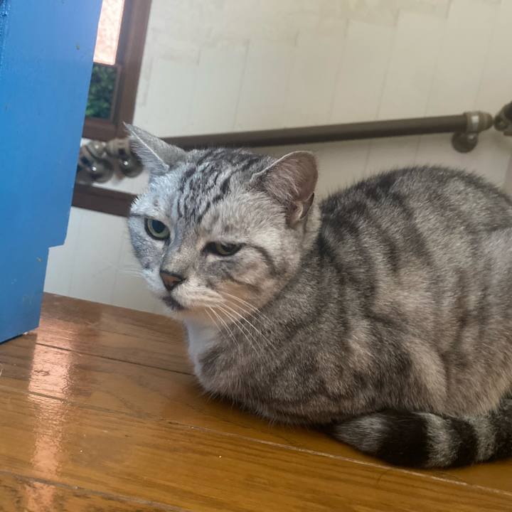 7a33a5c0 d947 4efa b732 c761782cfeb4 1719119766398