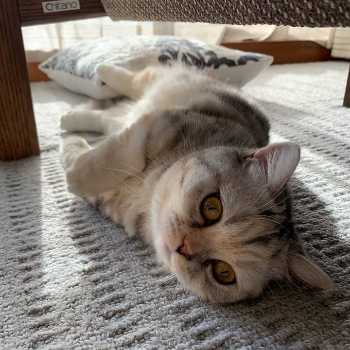 7a33acad 0aa4 4e7b bb63 33c3bf1cc3bd 1705136200327