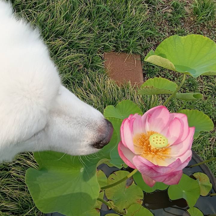 7a33acd3 7e19 46b2 a045 aa1ed7b09e16 1719355673264