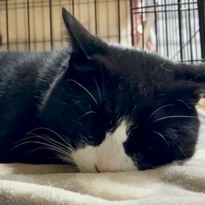 7a33c18e 832e 48d3 9fb8 2566f23ac8cd 1775309361080