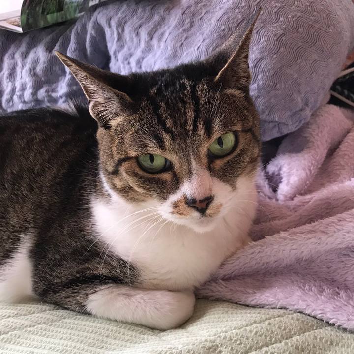 7a33d3be 564f 49a6 b993 5fe91e57cbc3 1525567761167