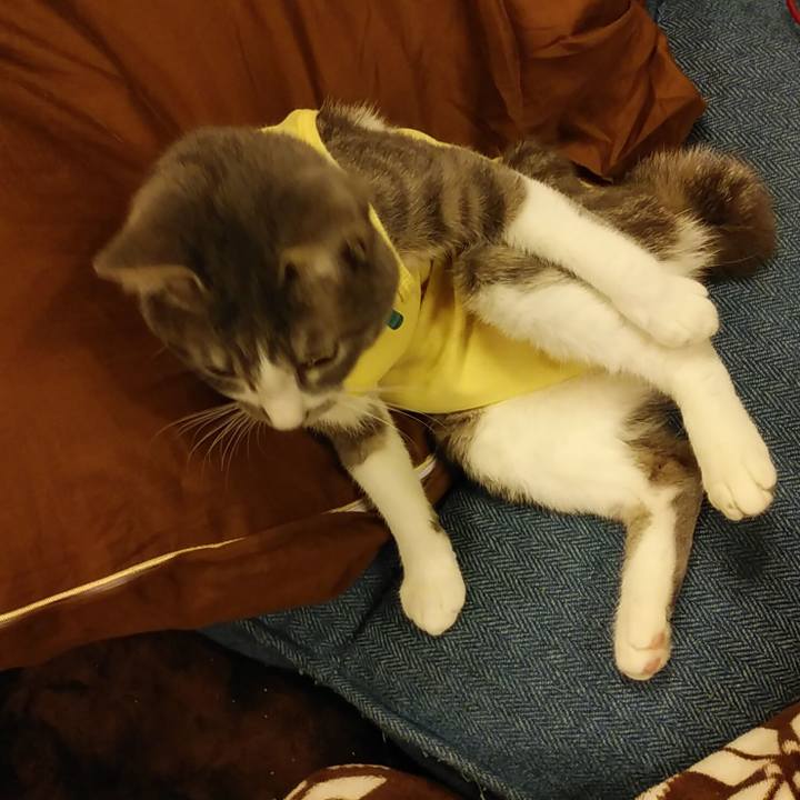 7a33f650 ffd4 4185 a29c 66ac08ad5e49 1585235515071