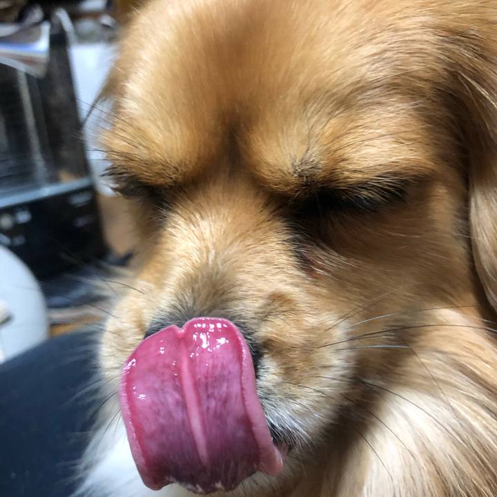 7a33fe5a d4aa 4e98 896c 2db5a0dfe612 1546563567929