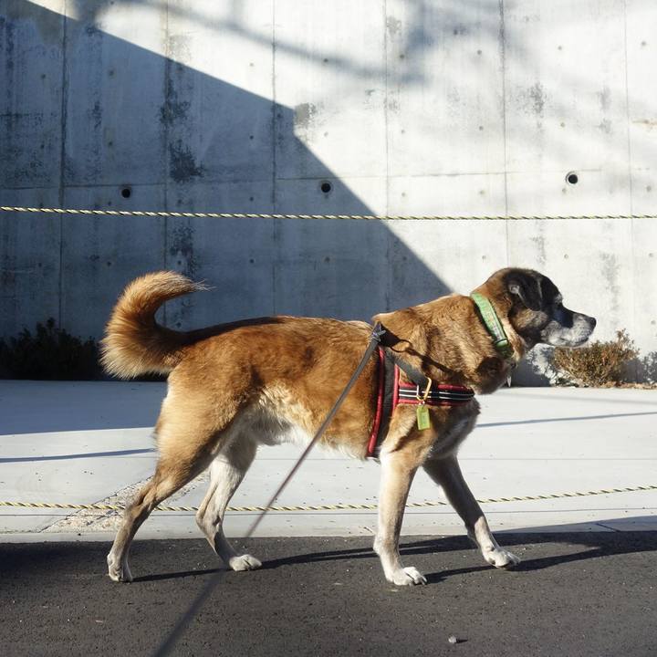 7a3455f3 9521 45b2 a5ac 1d08cef78fb0 1657323997496