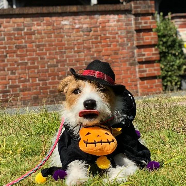 7a346cf9 2892 4130 91a5 99fe7796ba59 1602106565896