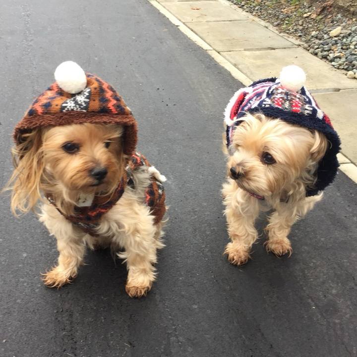 7a3497f6 39ca 4fc0 9fbe 9a5821e2b119 1541722546580