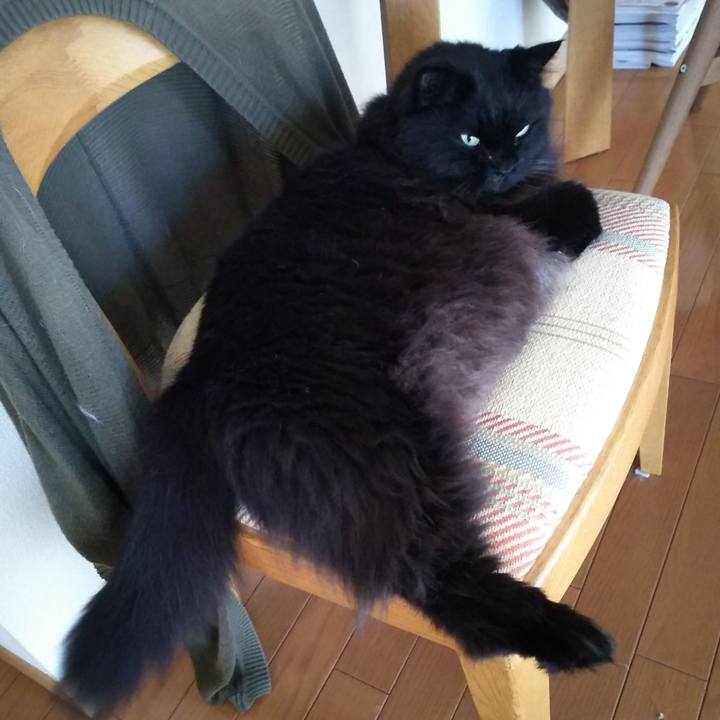 7a34bdb4 20e6 4fc5 848f ad01a45a7d0a 1566774975497