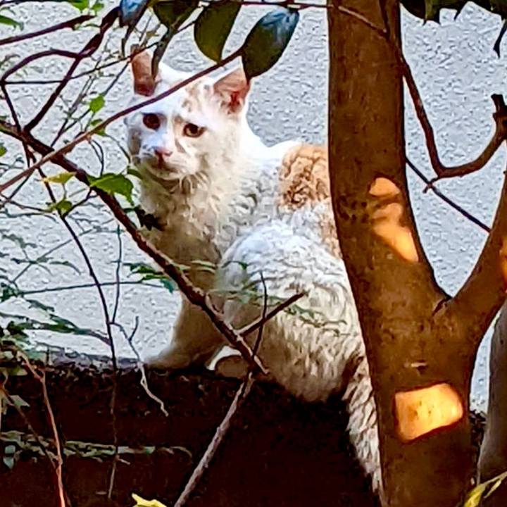 7a34c031 dcee 4ee1 93a3 7ec3db8788b5 1650362258674