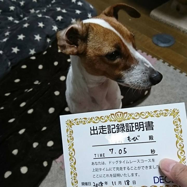 7a34cf19 fd80 4871 991b 12c8989e5449 1542541955038