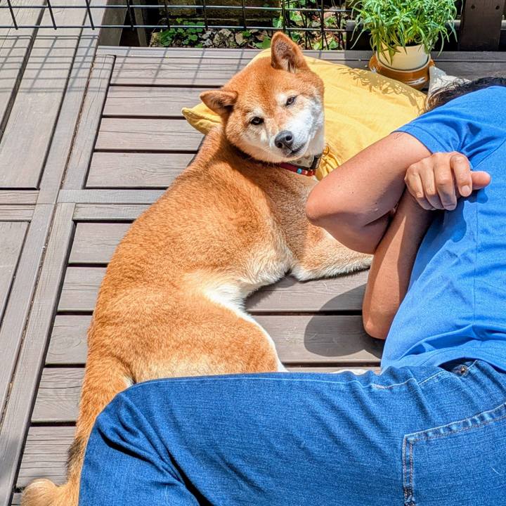 7a34e193 e36f 4e0d ad2f ad6573941068 1748860649844